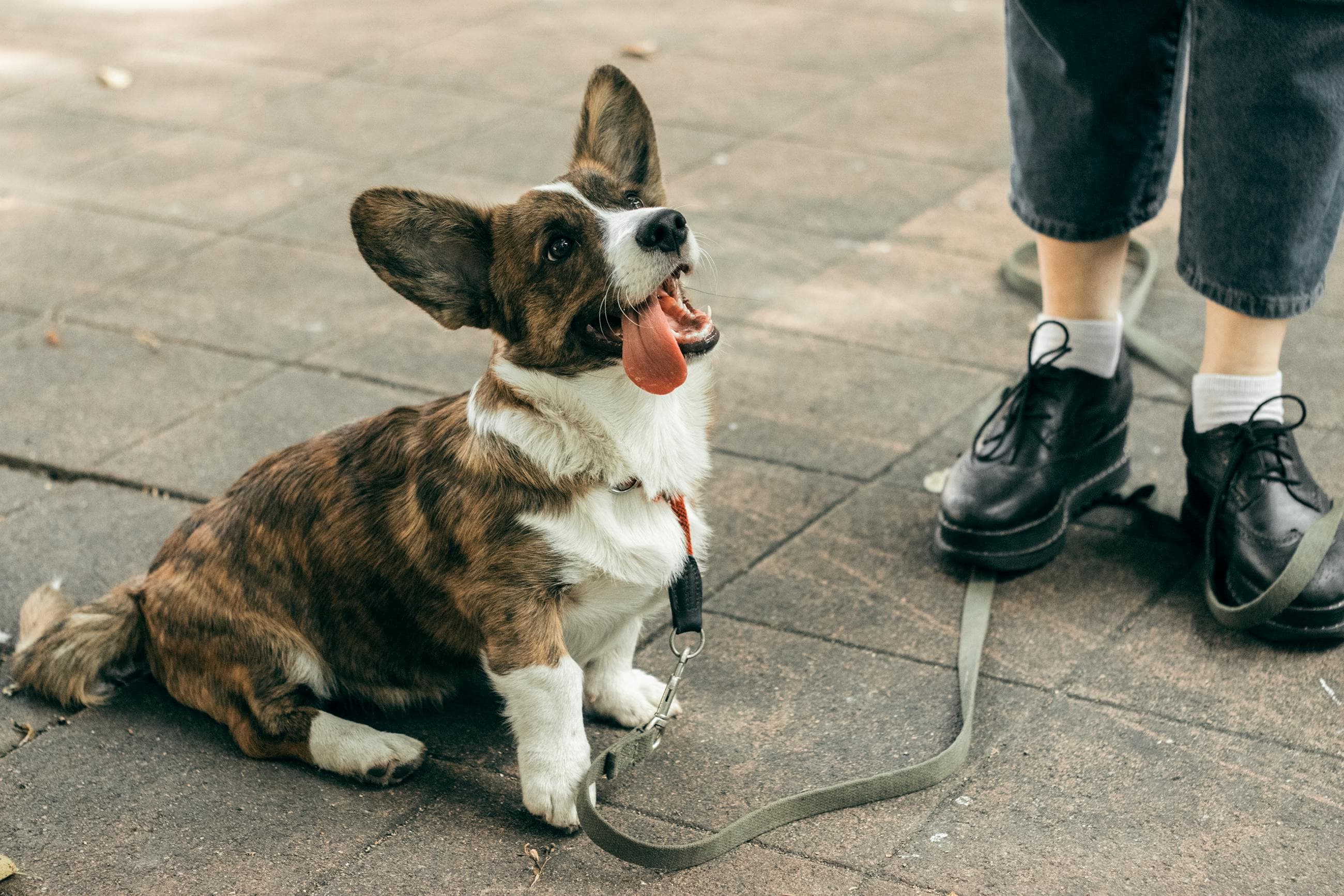 Kurser & föreläsningar